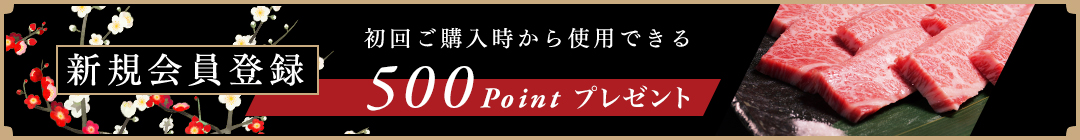 新規会員登録500ポイントプレゼント