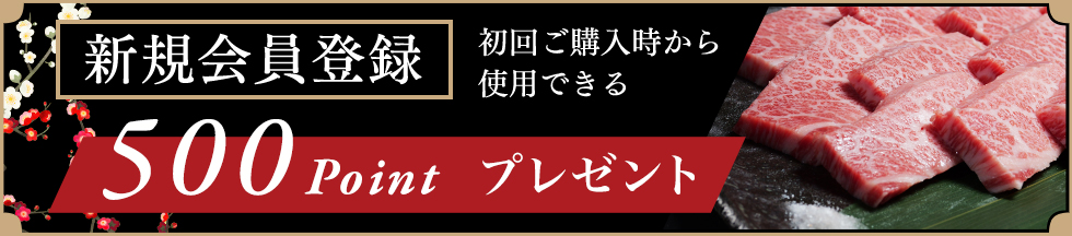 新規会員登録500ポイントプレゼント