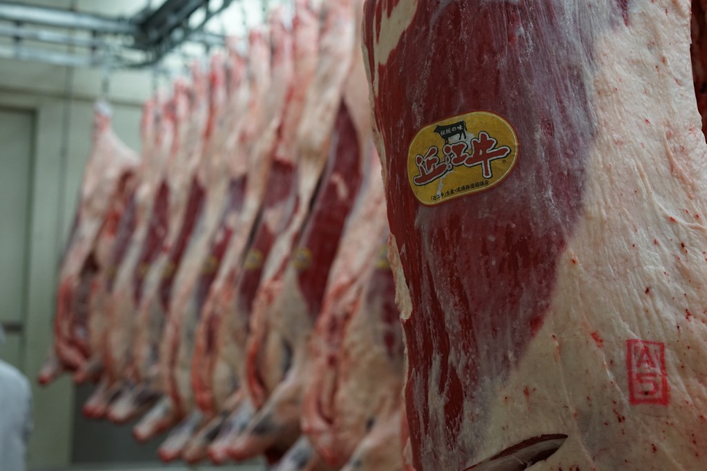 近江牛専門店による肉質の見極め